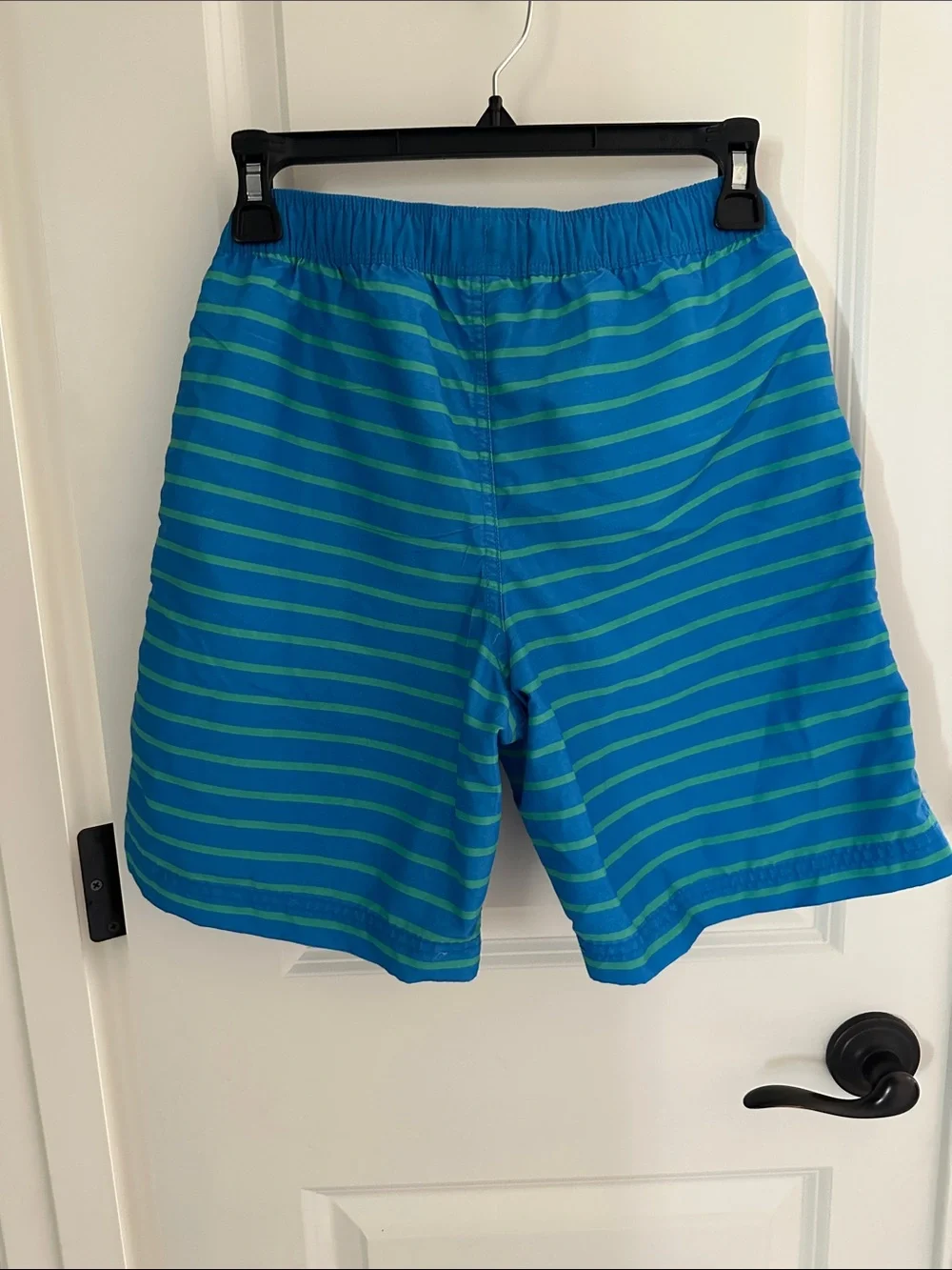 Hanna Andersson Blue and Green Striped Swim Trunks